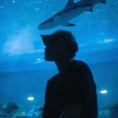 Ouça Dallien, assista a videoclipes, leia a biografia, veja as datas das turnês e mais!