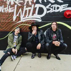 Listen to The Dangerous Summer, watch music videos, read bio, see tour dates & more!