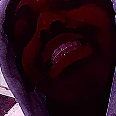 收听 V@nte、观看音乐视频、阅读小传、查看巡演日期等 ！