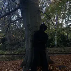 SEANBROWN333を聴いたり、ミュージックビデオを鑑賞したり、経歴やツアー日程などを確認したりしましょう！