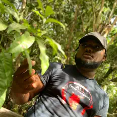 Listen to Yajeeb, watch music videos, read bio, see tour dates & more!