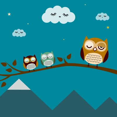 Listen to Sleepy Owls, watch music videos, read bio, see tour dates & more!