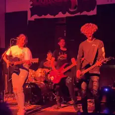 Posłuchaj wykonawcy The Filibusters, obejrzyj teledyski, przeczytaj biografię, zobacz daty tras koncertowych i nie tylko!