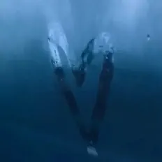 Escucha a intrnet, mira vídeos musicales, lee la biografía, consulta fechas de giras y mucho más.