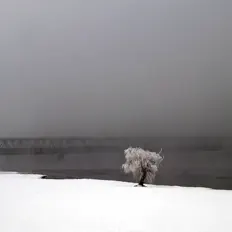 Posłuchaj wykonawcy Nomotion, obejrzyj teledyski, przeczytaj biografię, zobacz daty tras koncertowych i nie tylko!