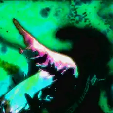 Dengarkan NERONOIR, tonton video musik, baca bio, lihat tanggal tur & lainnya!