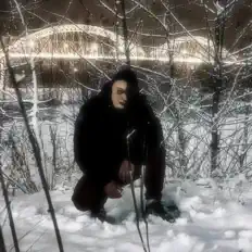 Ouça POLUTRUP, assista a videoclipes, leia a biografia, veja as datas das turnês e mais!