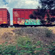 聆聽 Taras Stec、觀看音樂影片、閱讀小傳、查看巡演日期等！