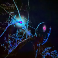 Jonas K.P.을(를) 듣고, 뮤직 비디오를 보고, 약력을 읽고, 투어 일정 등을 확인하세요!