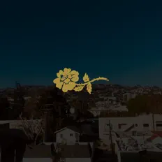 Ascolta Volair Sound, guarda video musicali, leggi la biografia, vedi le date del tour & altro!