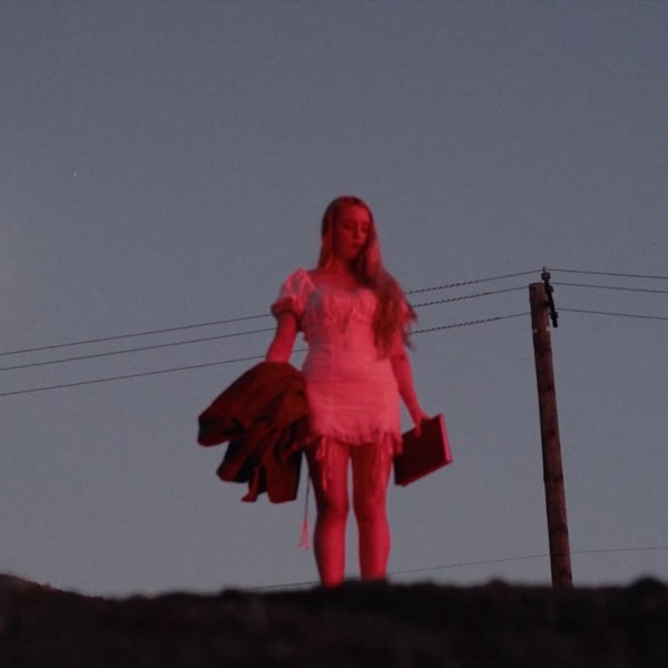 Brooke Williams's avatar