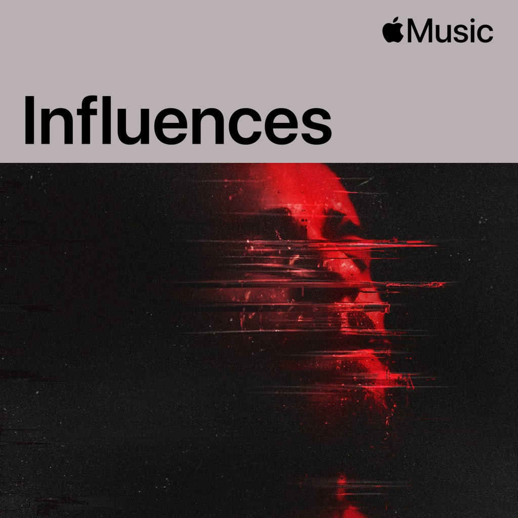 Diogo Piçarra: Influences