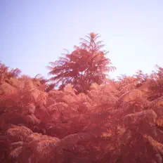 Dengarkan Michael Iskander, tonton video musik, baca bio, lihat tanggal tur & lainnya!