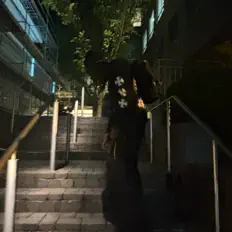 Escucha a Noirillusions, mira vídeos musicales, lee la biografía, consulta fechas de giras y mucho más.