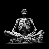 undefined dinle, müzik videolarını izle, biyografisini oku, tur tarihlerini ve daha fazlasını gör!