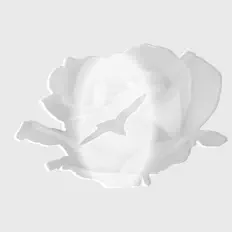 Listen to daallher, watch music videos, read bio, see tour dates & more!