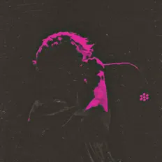 收听 Anti、观看音乐视频、阅读小传、查看巡演日期等 ！