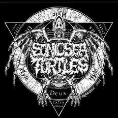 Listen to Sonic Sea Turtles, watch music videos, read bio, see tour dates & more!