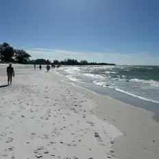 聆聽 Phil Robbins and Now Generation、觀看音樂影片、閱讀小傳、查看巡演日期等！