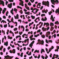 Listen to Tomi Taky, watch music videos, read bio, see tour dates & more!