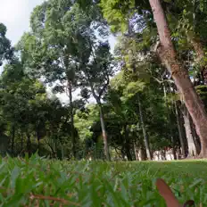 Ouça Kayhin, assista a videoclipes, leia a biografia, veja as datas das turnês e mais!