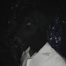 Dengarkan curtisthemilkman, tonton video musik, baca bio, lihat tanggal tur & lainnya!