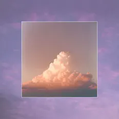 聆聽 Soft Focus、觀看音樂影片、閱讀小傳、查看巡演日期等！