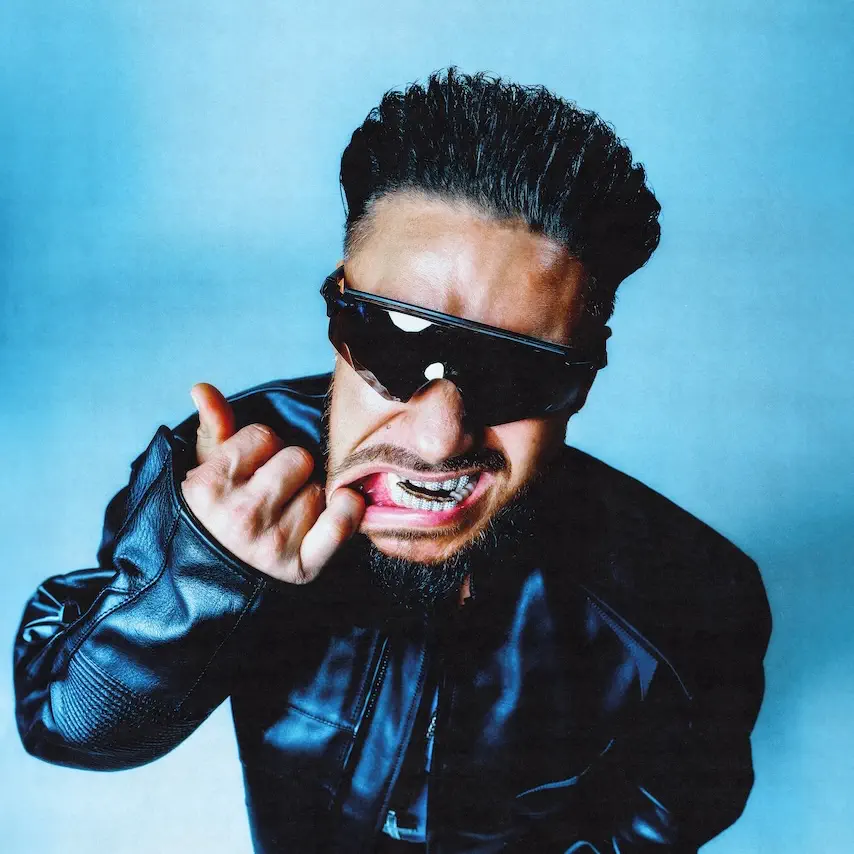 DJ Pauly D