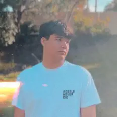 DMashups을(를) 듣고, 뮤직 비디오를 보고, 약력을 읽고, 투어 일정 등을 확인하세요!