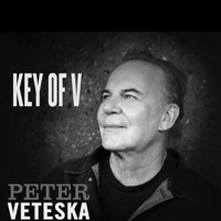 Peter Veteska & Blues Train
