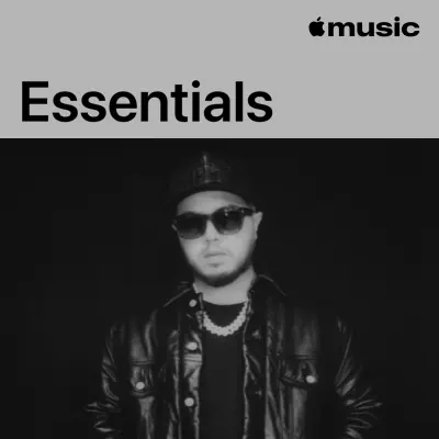 Listen to Hamza Essentials featuring Damso