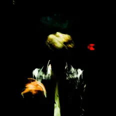 Dengarkan $ije, tonton video musik, baca bio, lihat tanggal tur & lainnya!