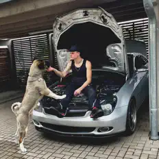 Escucha a yBoy763, mira videos musicales, lee su biografía, consulta las fechas de las gira y más.