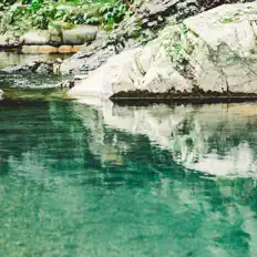 Listen to dongyi, watch music videos, read bio, see tour dates & more!