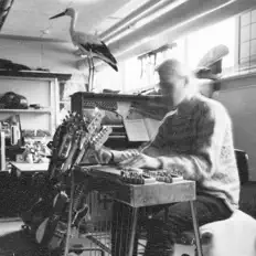 Escucha a Magnus Munk Tækker, mira videos musicales, lee su biografía, consulta las fechas de las gira y más.