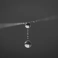 Six Degrees of Separation सुनें, म्यूज़िक वीडियो देखें, बायो पढ़ें, दौरे की तारीखें और बहुत कुछ देखें!