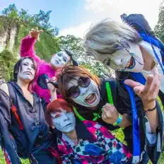 Benjyonokusaを聴いたり、ミュージックビデオを鑑賞したり、経歴やツアー日程などを確認したりしましょう！