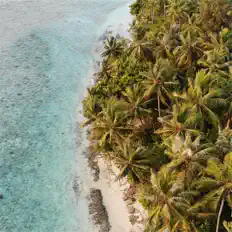 Listen to Kingston Sound System, watch music videos, read bio, see tour dates & more!