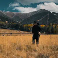 收听 undefined、观看音乐视频、阅读小传、查看巡演日期等 ！