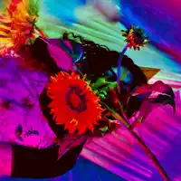 聆聽 undefined、觀看音樂影片、閱讀小傳、查看巡演日期等！