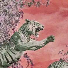 收听 Tigerpalm*Bay、观看音乐视频、阅读小传、查看巡演日期等 ！