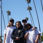 Nice&Swell