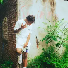 聆聽 Taydadon、觀看音樂影片、閱讀小傳、查看巡演日期等！