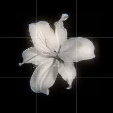 whythr을(를) 듣고, 뮤직 비디오를 보고, 약력을 읽고, 투어 일정 등을 확인하세요!