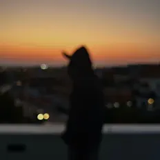 Ouve NOXTIS, vê vídeos de música, lê a biografia, vê as datas da digressão e muito mais!