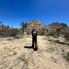 Listen to Zotaiga, watch music videos, read bio, see tour dates & more!