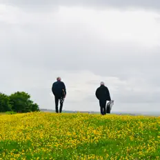 Ascolta LapWing65, guarda video musicali, leggi la biografia, vedi le date del tour & altro!