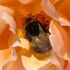 Listen to BMuzik, watch music videos, read bio, see tour dates & more!