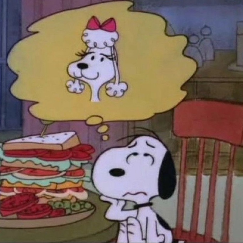 Willonda2 - Wow she really called me a dog !