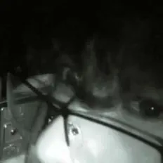 Poslechněte si interpreta Oli bOY, sledujte hudební videa, přečtěte si životopis, podívejte se na data turné a další informace.